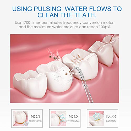 TUREWELL Water Flosser