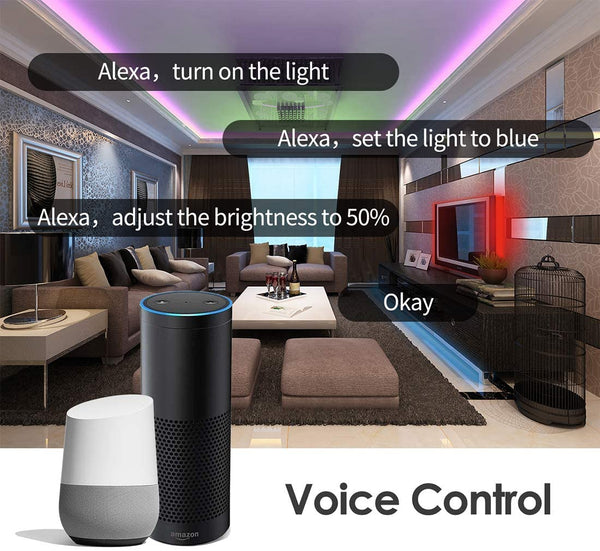 voice control LED light with Alexa, Google home